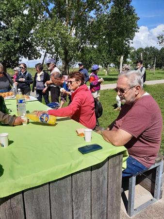  Photo: Rando pédestre AFRS à l'Aiguillon sur Mer le 24 ma