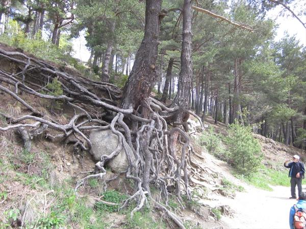  Photo: Séjour en Andorre du 22 au 27 mai 2023 (7).JPG