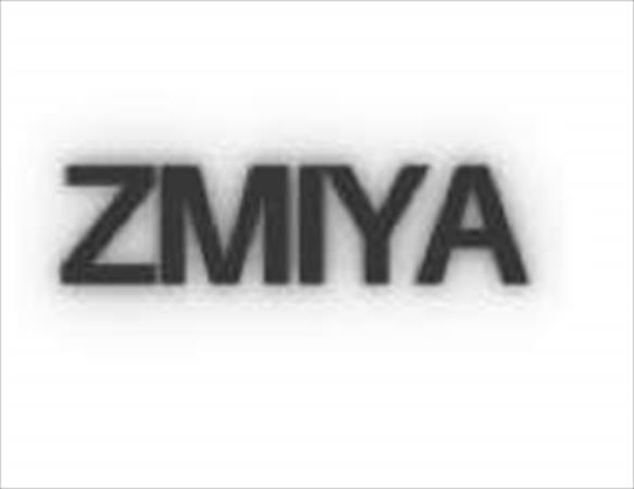 Photo: ZMYA.png